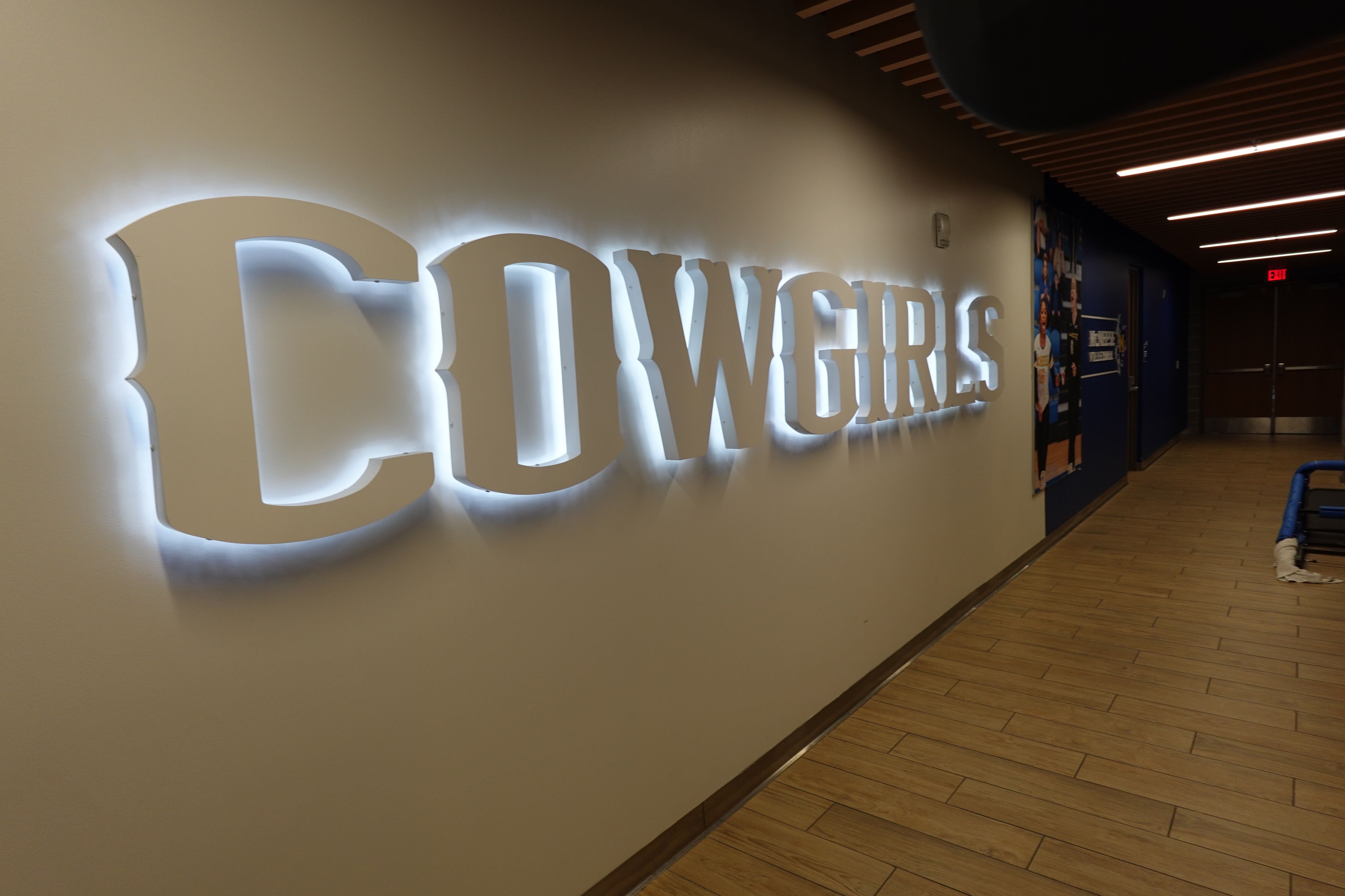 Townsley Law Arena Game Day